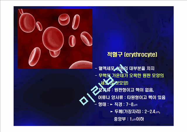 [의학,약학] 혈구관찰 및 혈액형 검사.ppt